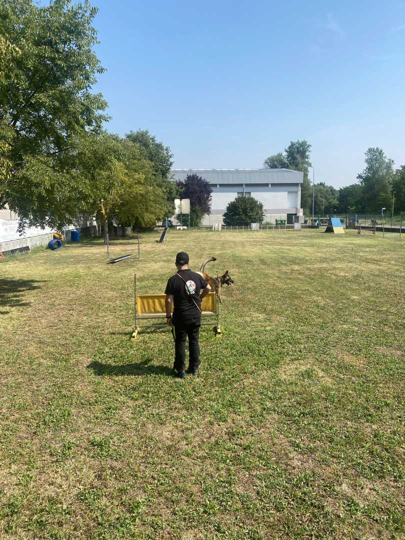 SC_FotoLanghirano_Settimana-5_4