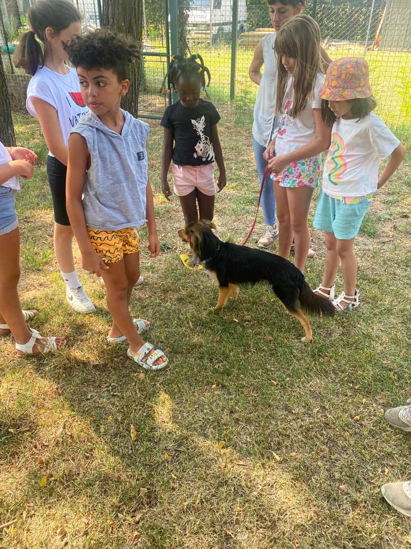 SC_FotoLanghirano_Settimana-5_6