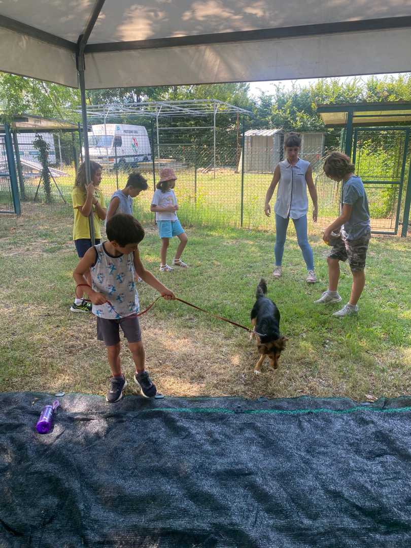 SC_FotoLanghirano_Settimana-5_7