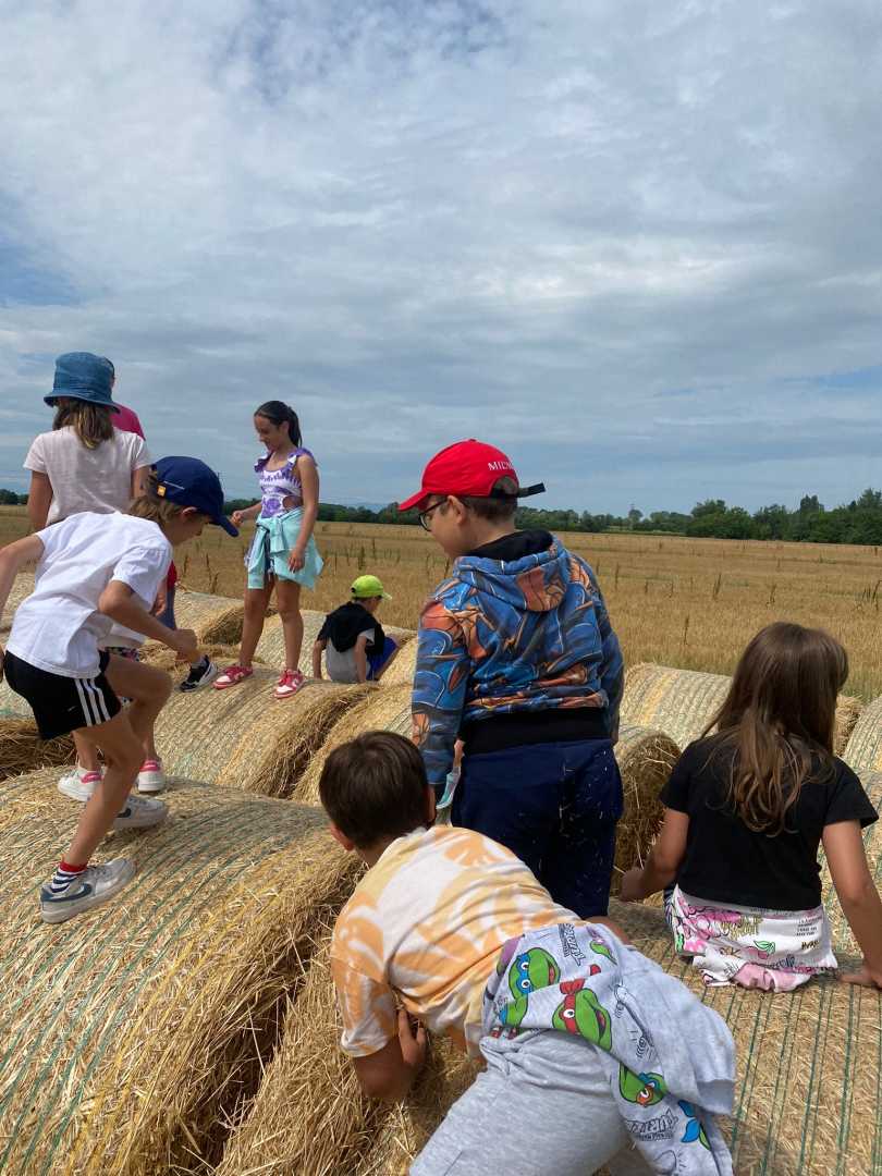 SC_FotoVedole_Settimana 1_1