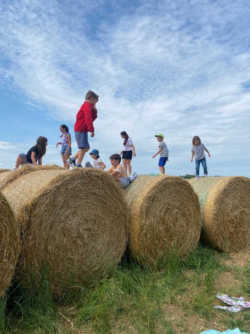 SC_FotoVedole_Settimana 1_10