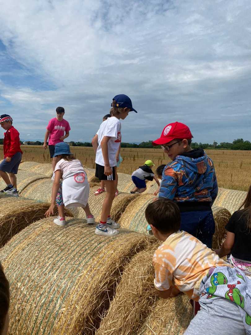 SC_FotoVedole_Settimana 1_11