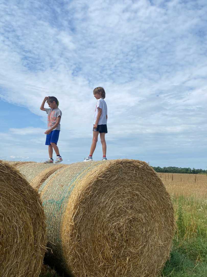 SC_FotoVedole_Settimana 1_16