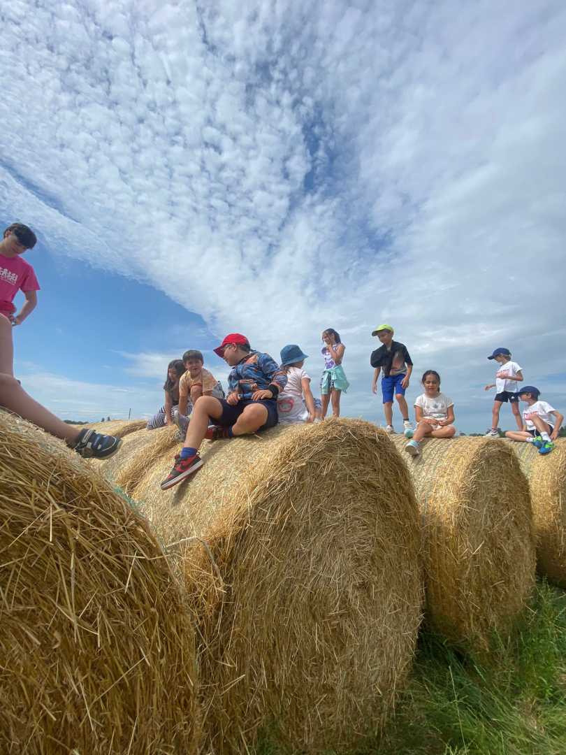 SC_FotoVedole_Settimana 1_2