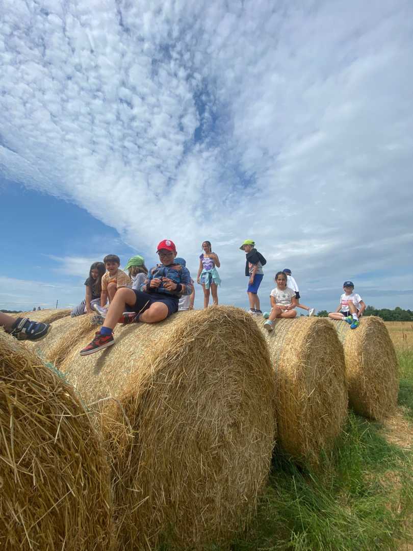 SC_FotoVedole_Settimana 1_3