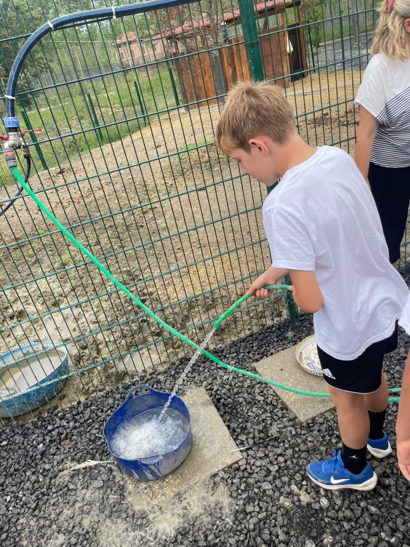 SC_FotoVedole_Settimana-9_1