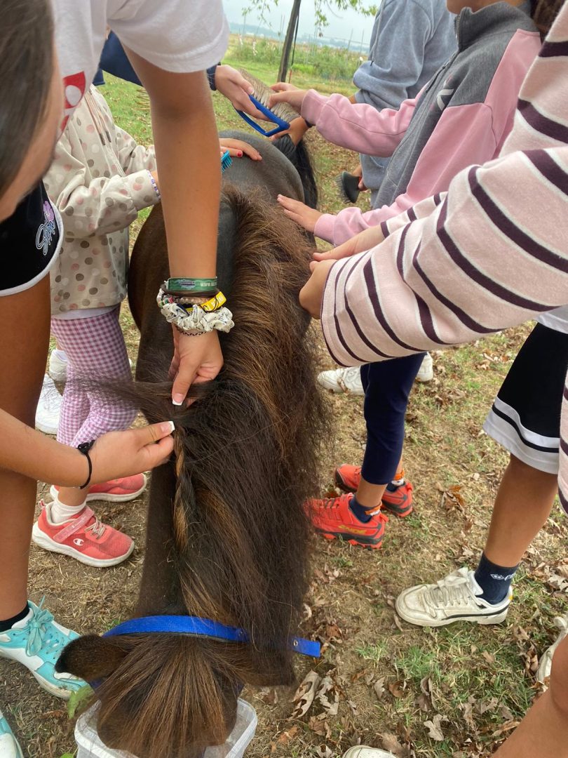 SC_FotoVedole_Settimana-9_5