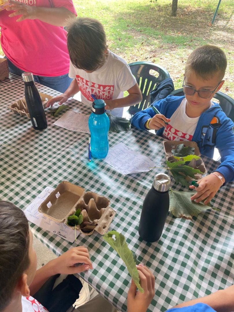 SC_FotoVedole_Settimana-9_7